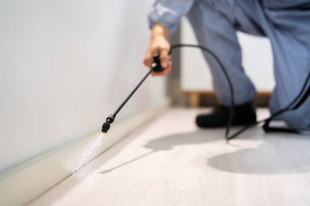 Licensed Pest Control service in Nutter Fort, WV - Show Me Pest Control